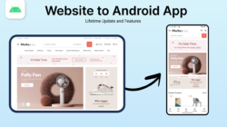 Convert Your Website to an Android App for Free Using Kotlin (2024)